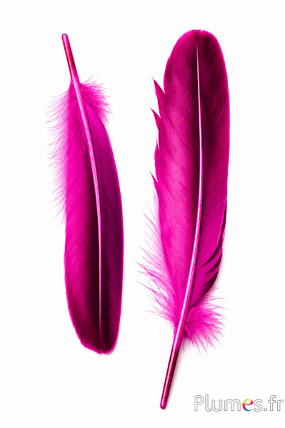 Eend - 18-20 cm, links en rechts - pink-zwart